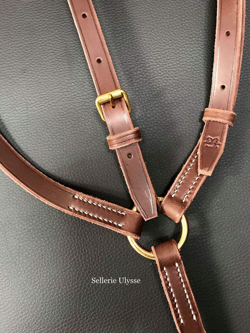 Miniature : Martingale Traditionnelle Chocolat