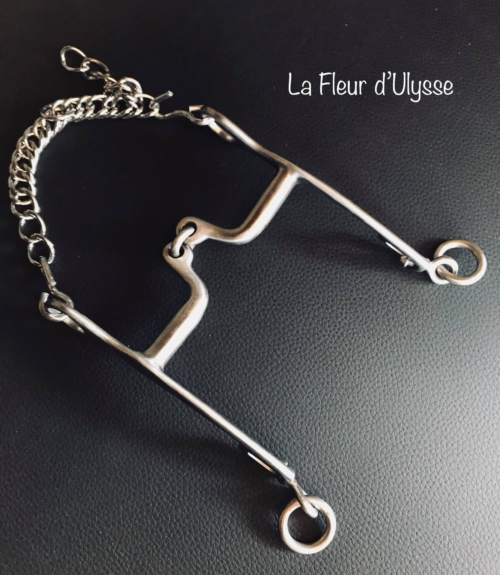 Mors Camargue ponté brisé inox