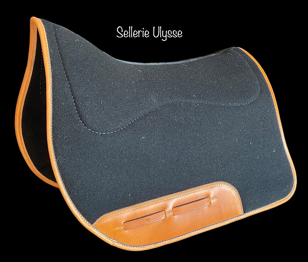 Miniature : Tapis Dressage en Feutre Noir & Cuir Fauve