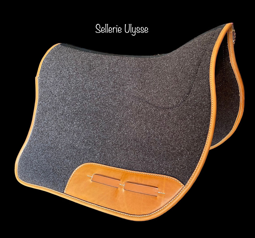 Miniature : Tapis Dressage en Feutre Châtaigne & Cuir Fauve