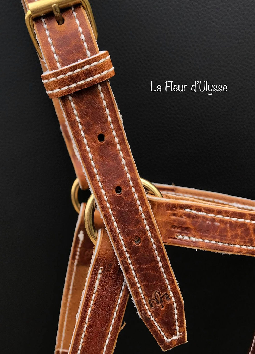 Miniature : Licol Cuir Chromé Fauve