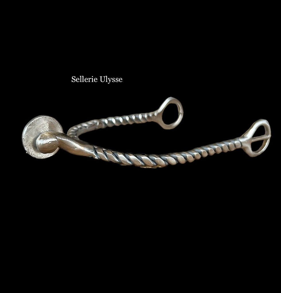 Miniature : Eperons Torsadés Courts Inox Molette Ronde Passes Rondes