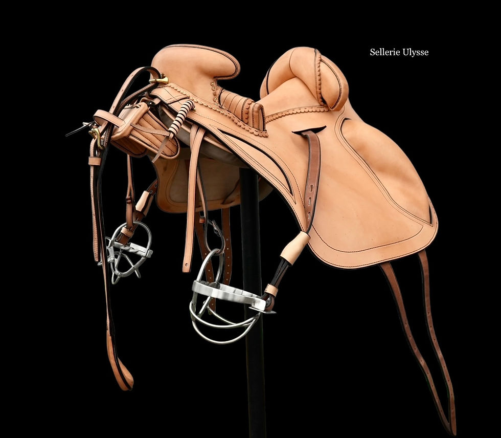 Miniature : Selle Camargue Dressage Naturelle "Pommeau Lisse"