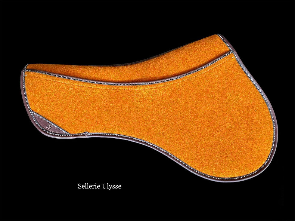 Miniature : Amortisseur "Jumping " Cales Interchangeables Feutre Orange & Cuir Chocolat