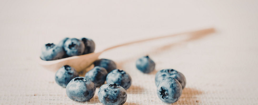 Bluerberries - — Whole Self Nutrition dietitian nutritionist in Seattle