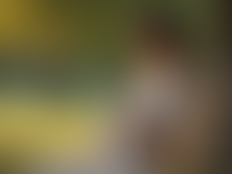 Creative Ideas for a Memorable Pregnancy Photoshoot