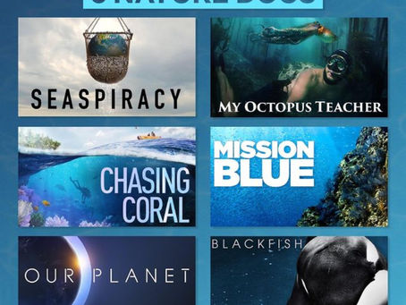 Oceány, ryby a zdraví