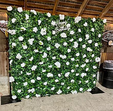 Rose Floral Wall