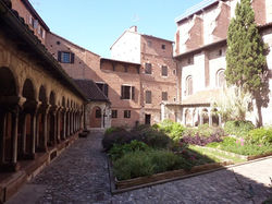 salvi02