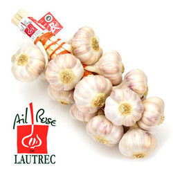 25331-0w300h300_Ail_Rose_Lautrec_Igp_Tresse_Label_Rouge