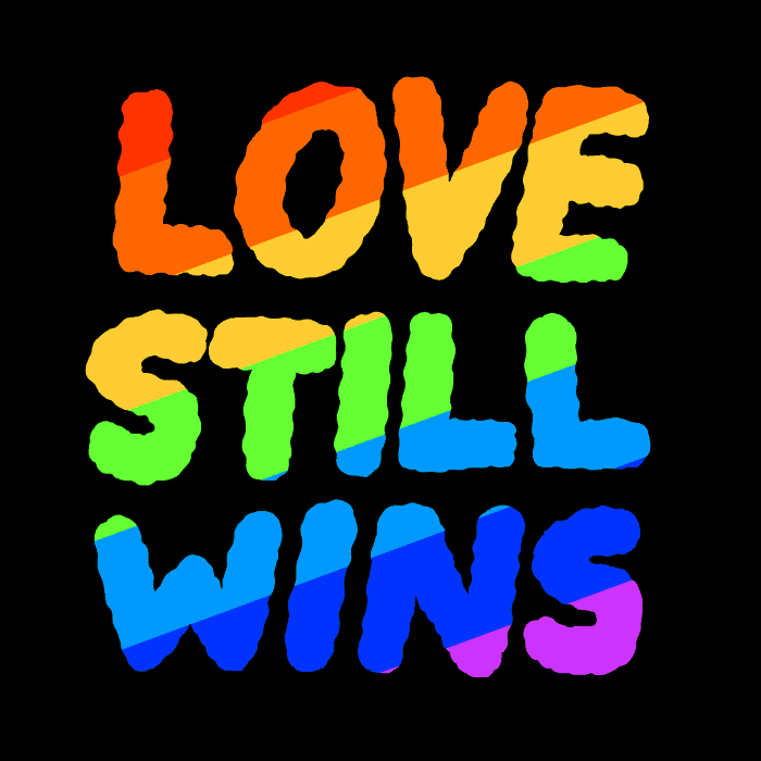 love wins.gif