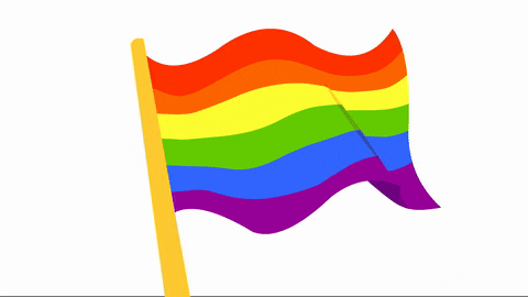 rainbow flag.gif