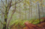 Thumbnail: Misty Woods