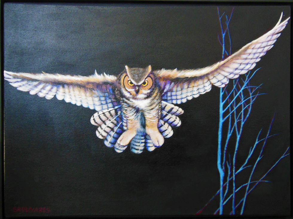 Thumbnail: Great Horned Owl