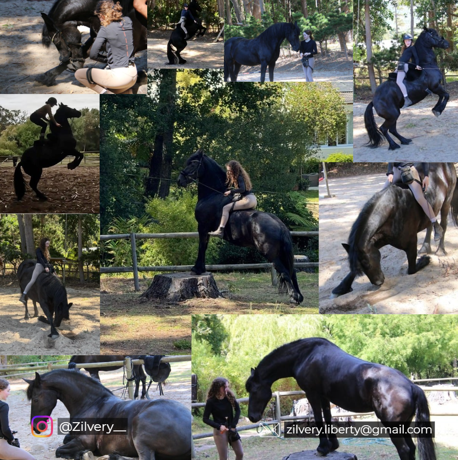 Zoe fremviser sine mange R+ tricks og trƦning