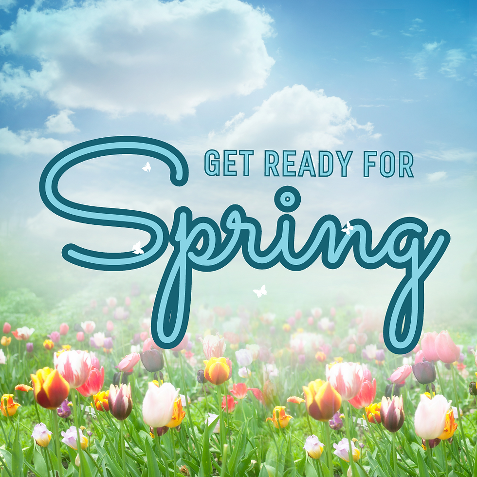 Get ready for spring with these lawn tips!