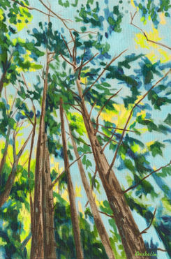 Tree Tops - Oil Painting - Arabella Young