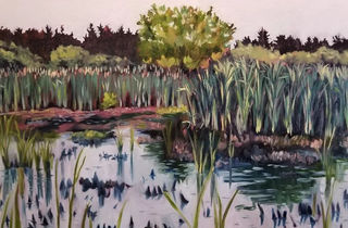 Spring in Rithet's Bog