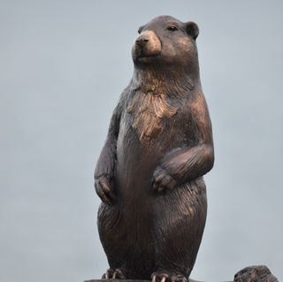 Vancouver Island - Marmot - Bronze - Fred Dobbs