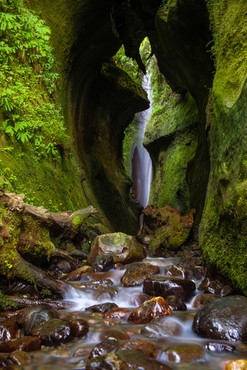 Hidden Fall
