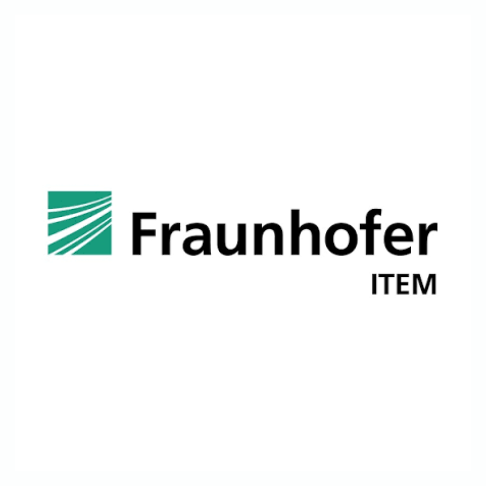 ITEM logo