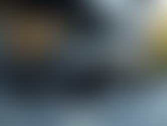 Executive Transportation Services: Executive Travel Benefits and Features