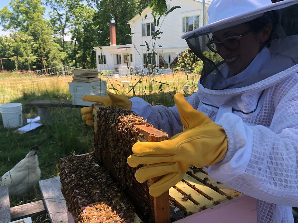 Thumbnail: September 24 : Bee Keeping 101