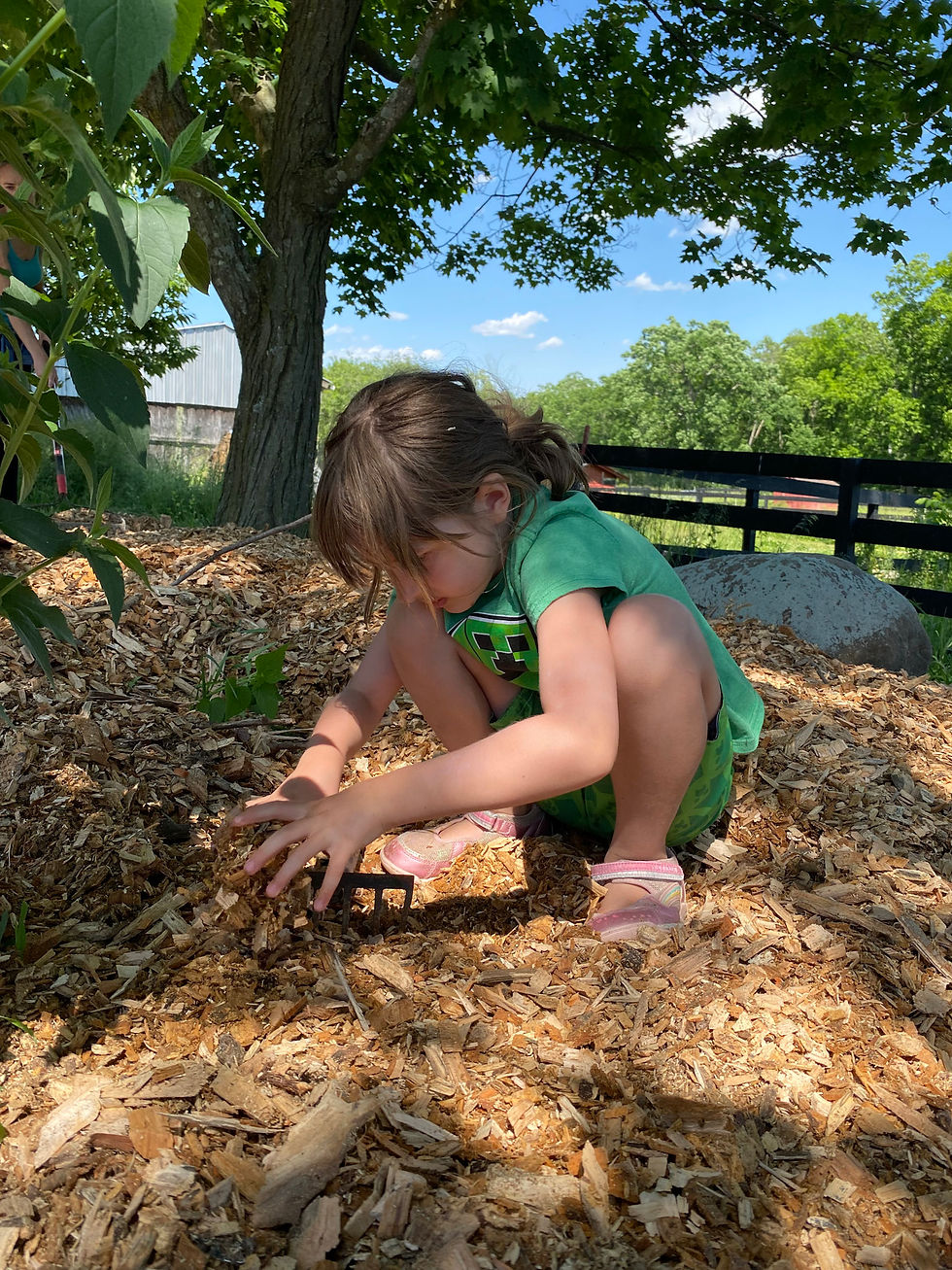Kids Only! Farm-Inspired Terrariums