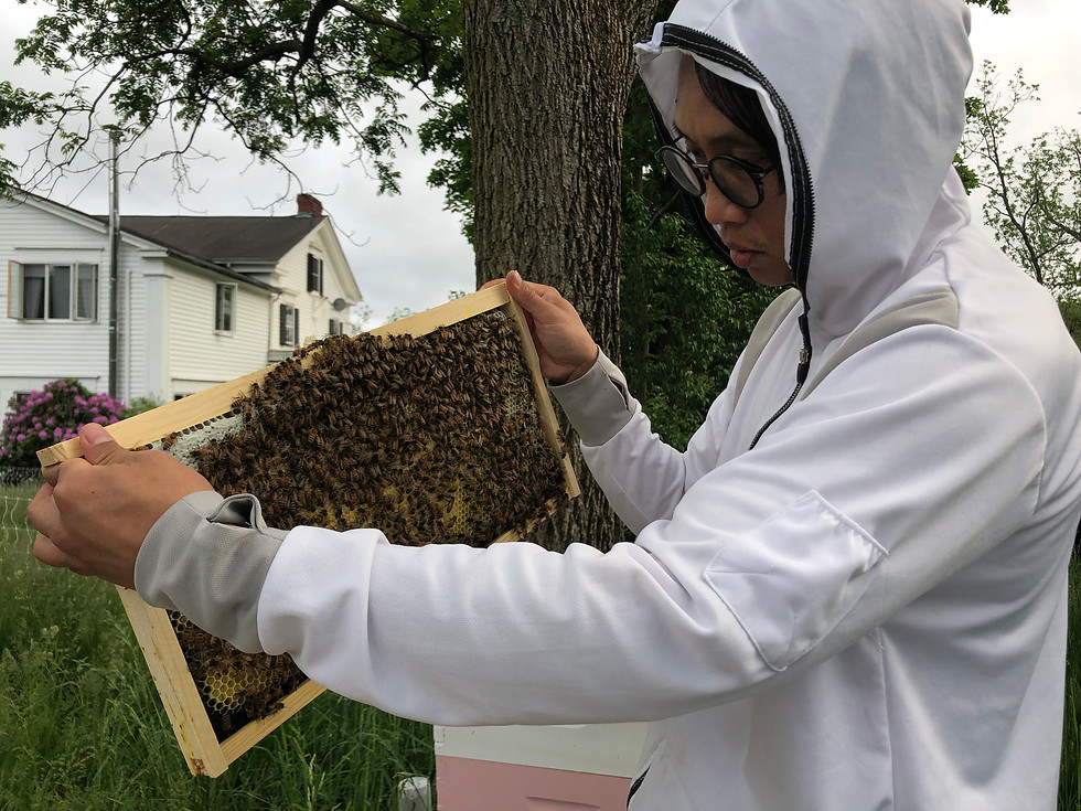 Thumbnail: September 24 : Bee Keeping 101