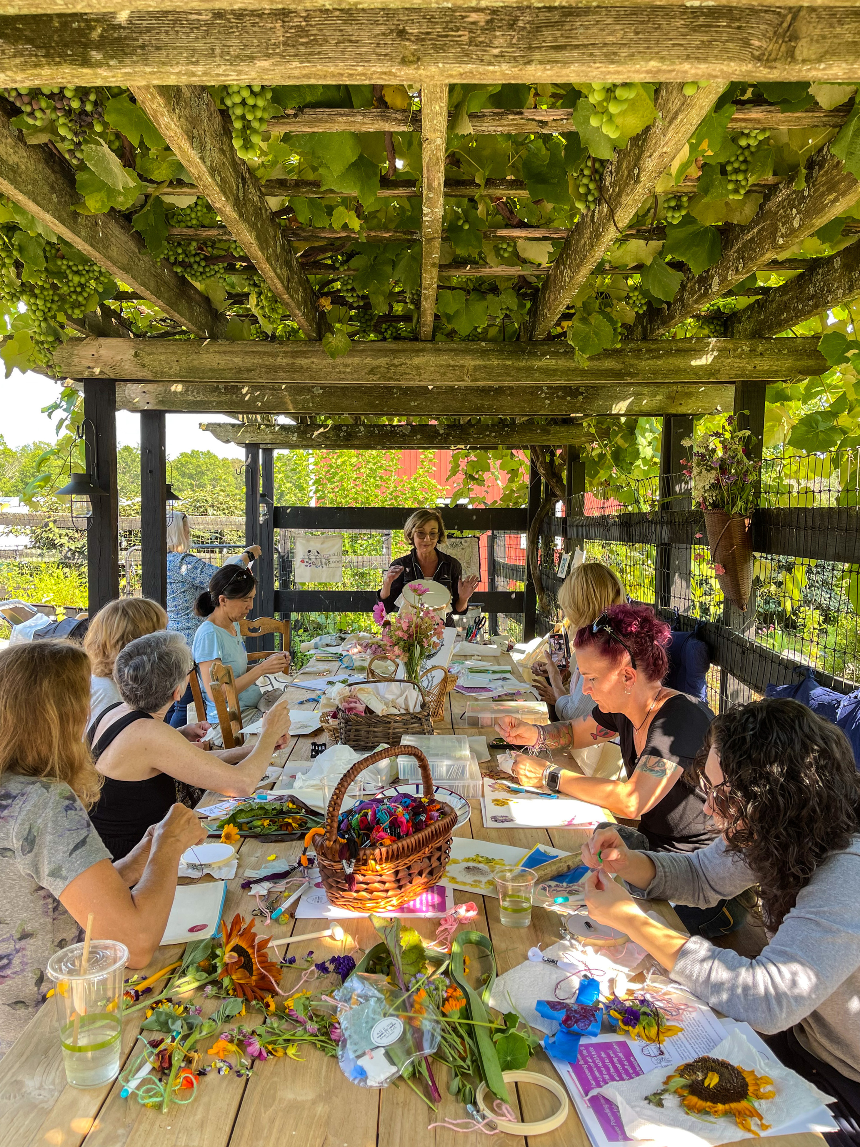 November 6th:  Stitching BUGS! on the Farm with Robin Schweitzer
