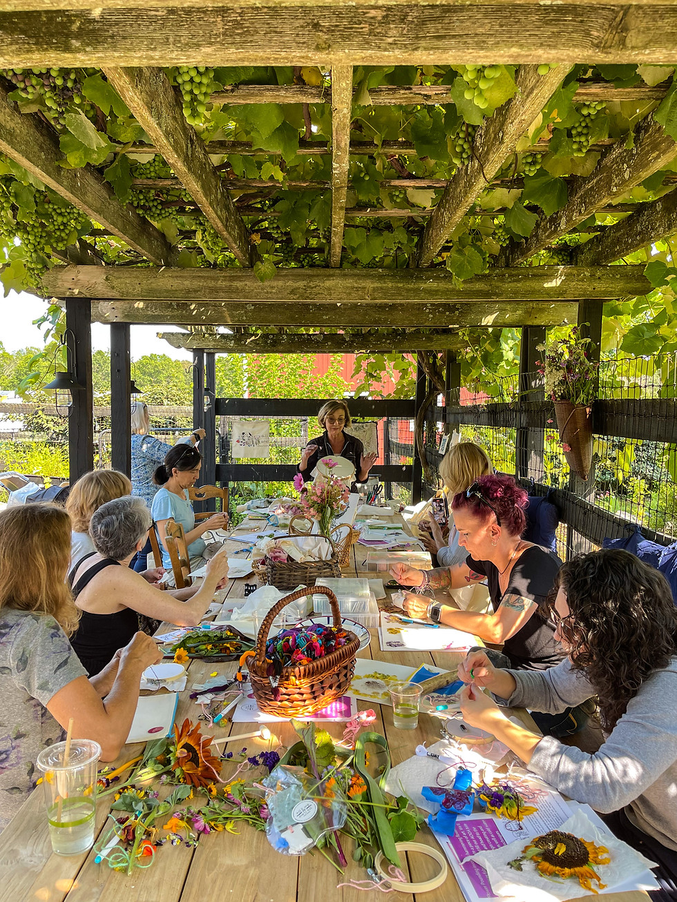 Thumbnail: November 6th:  Stitching BUGS! on the Farm with Robin Schweitzer