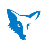 โลโก้ Dfox Tech.png