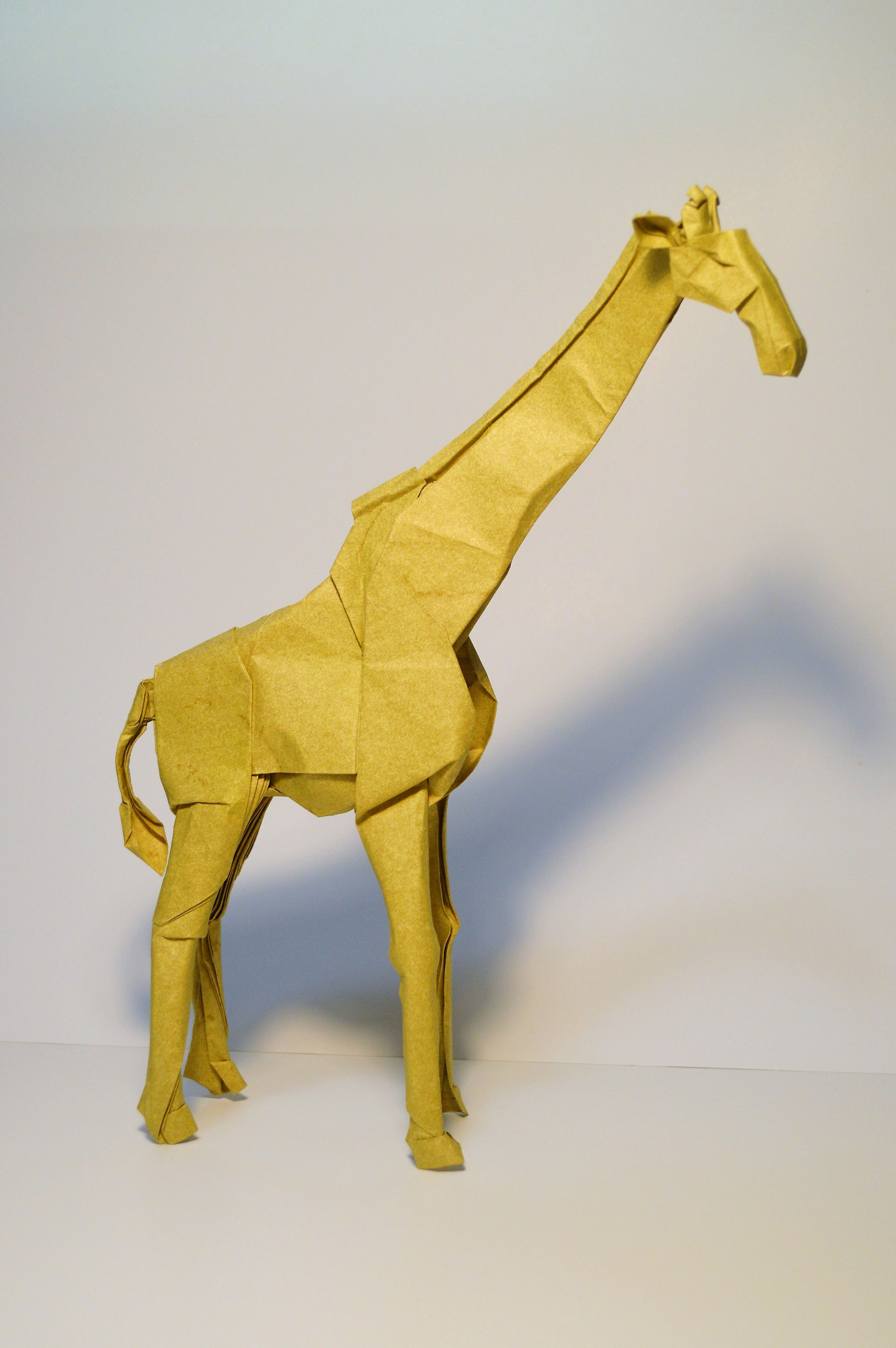 Giraffe 2015