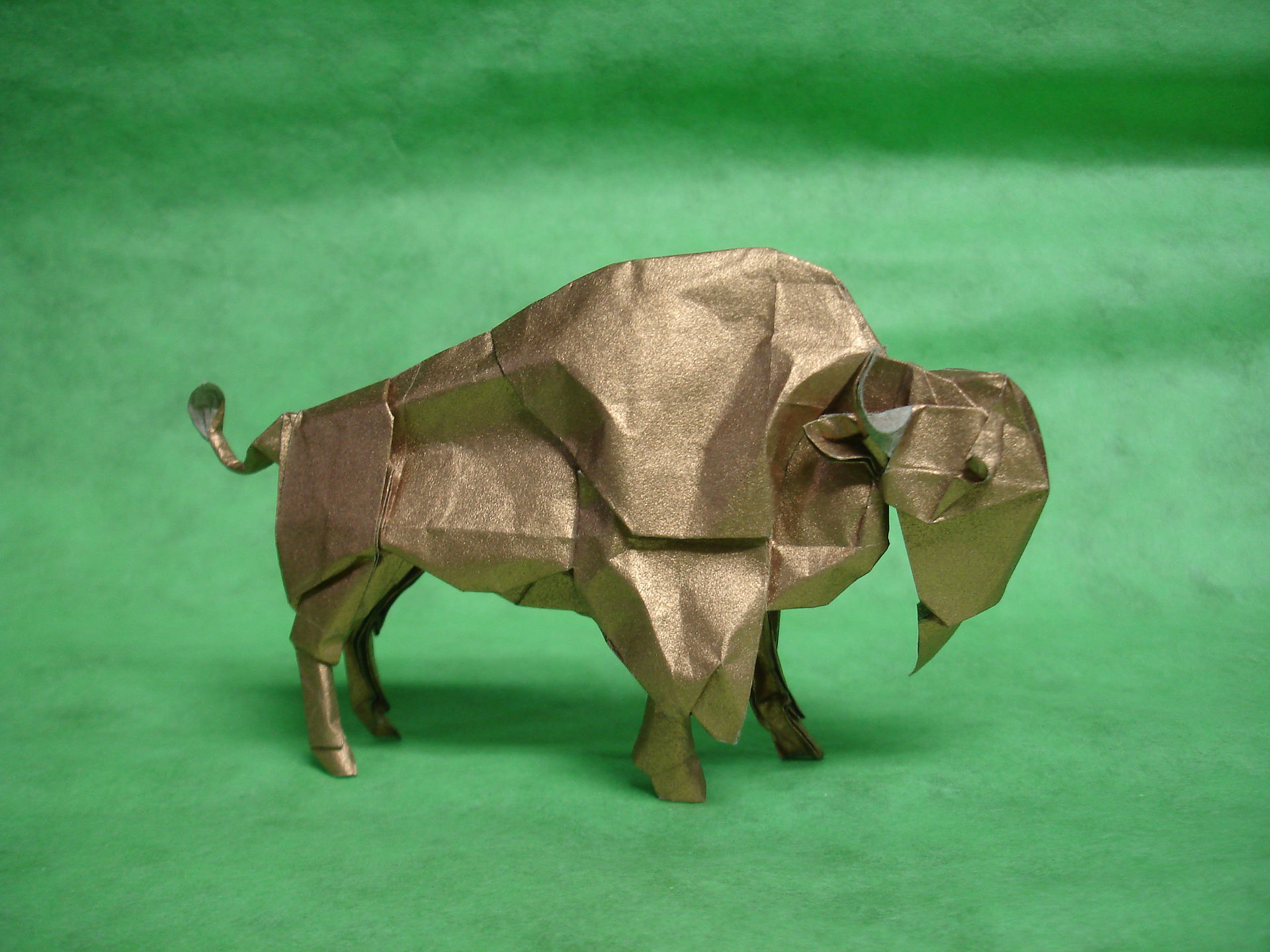 Bison 2014