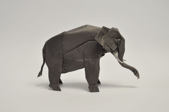 Asian Elephant