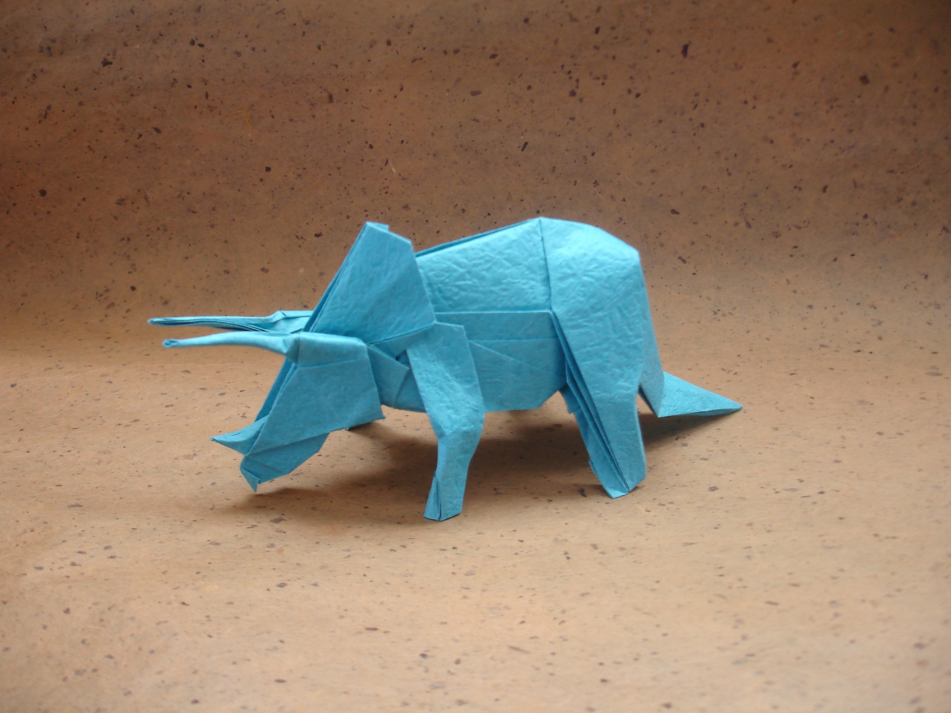 Triceratops 2012
