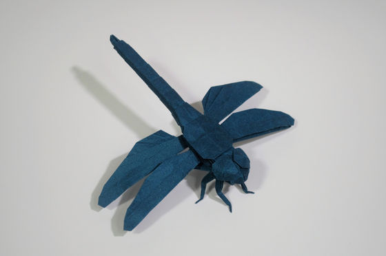 Dragonfly