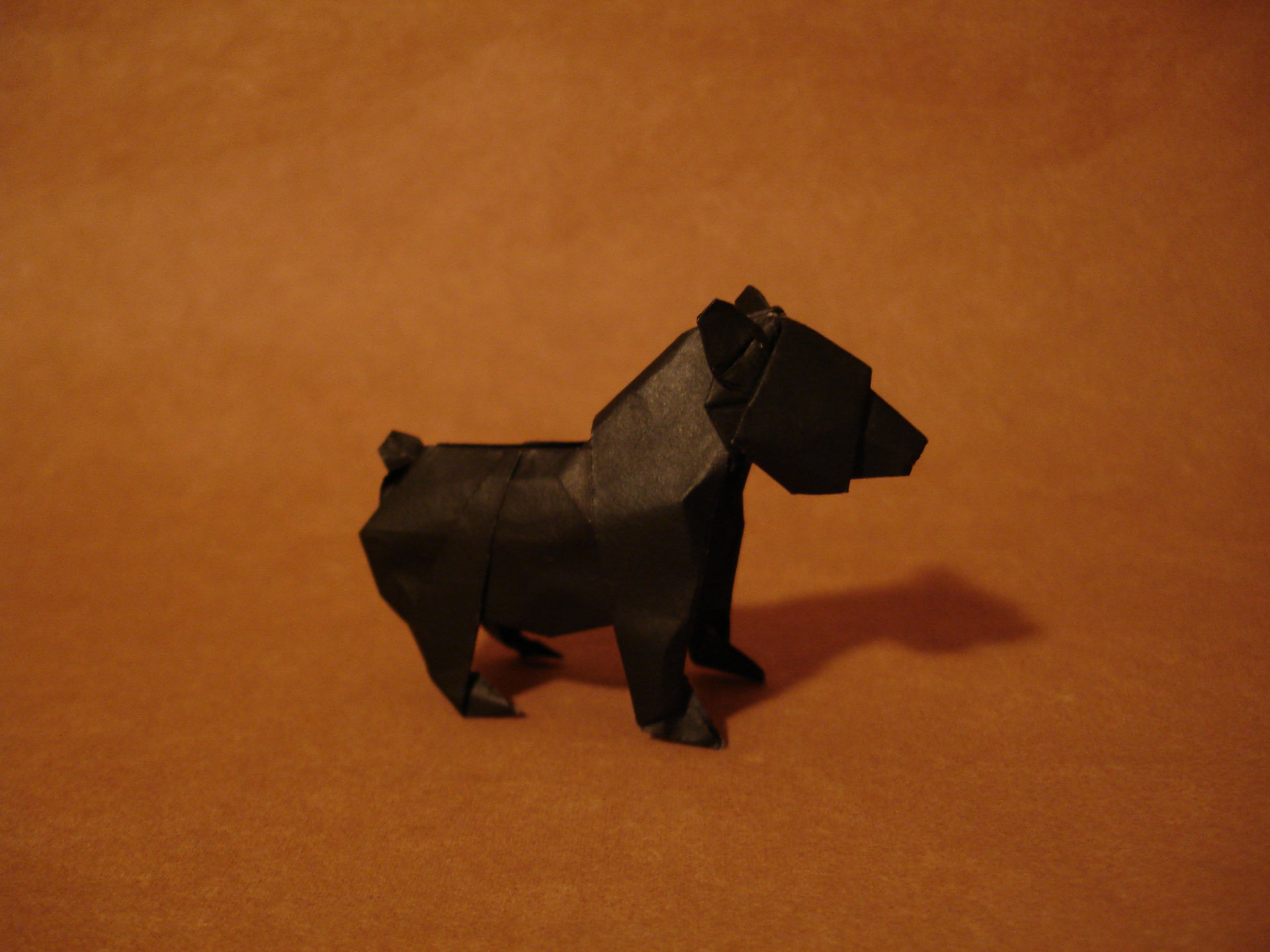 Bear Cub