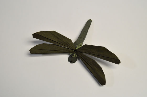 Simple Dragonfly