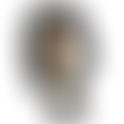 好きこそものの上手なれ。