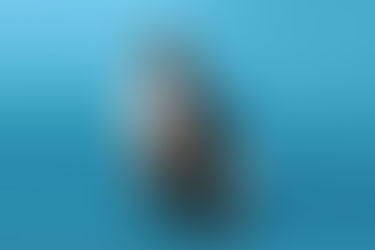 4 ขั้นตอนสร้างคนทำงานให้มี Personal Brand