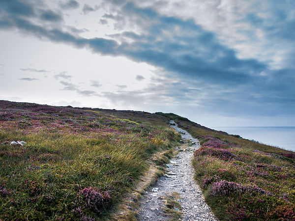 NadiaDorado.ch I wie ich arbeite