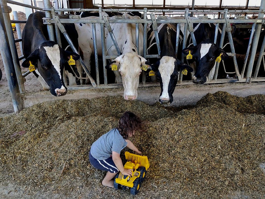 Home Tuscarora Dairy