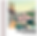 copertina guida.png