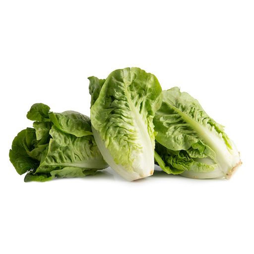 Lettuce (Little Gem) MelissasFoodService
