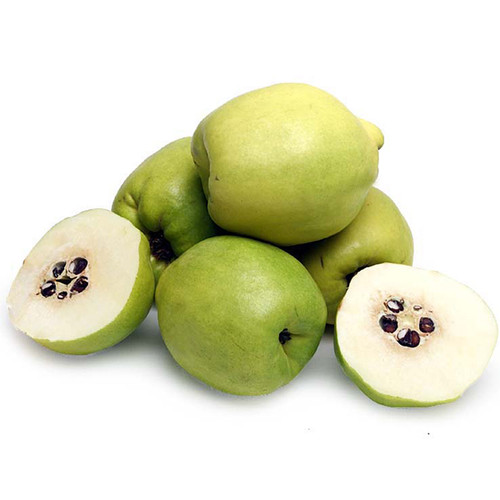 Quince (Pineapple) MelissasFoodService