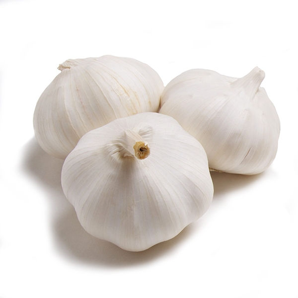 Organic Garlic