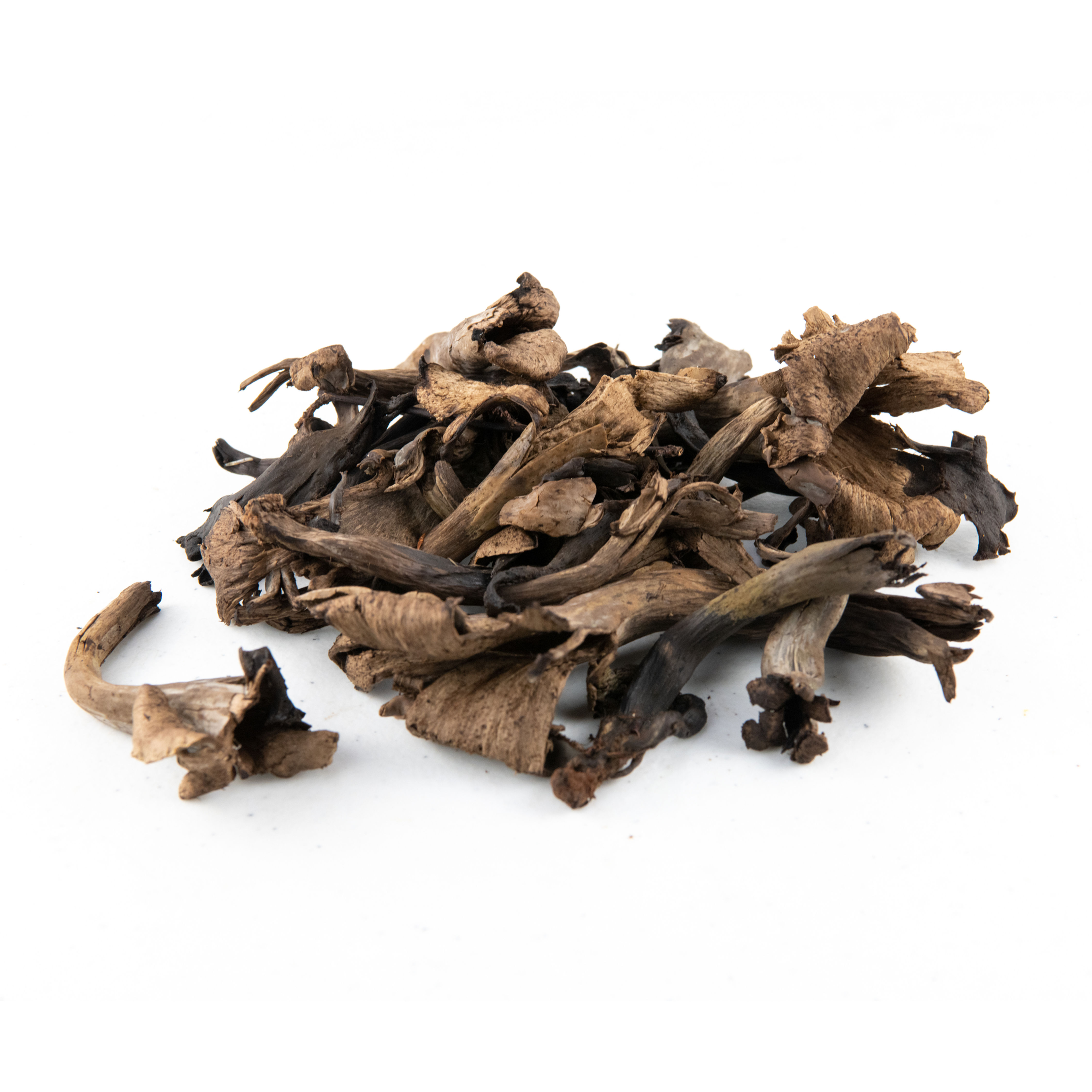 Mushrooms (Black Trumpet)