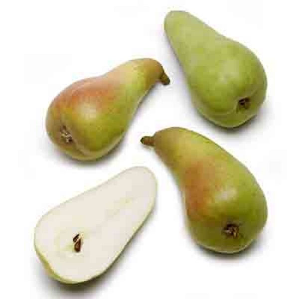 Organic Pears (Abate Fetel)