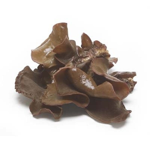 Mushrooms (Wood Ear)